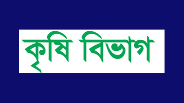 টানা বৃষ্টিপাতে ফসল বাঁচাতে কৃষি বিভাগের ৮ নির্দেশনা