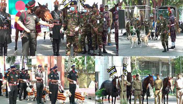 বাংলাদেশকে প্রশিক্ষণপ্রাপ্ত ঘোড়া ও কুকুর উপহার দিল ভারত