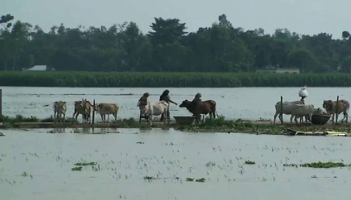 পাঁচ জেলায় বন্যার আশঙ্কা