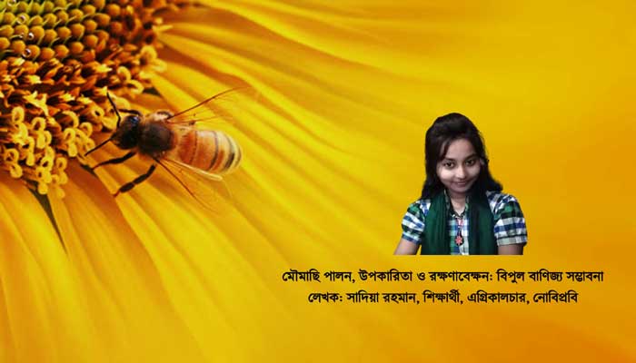 সম্ভাবনাময় বাণিজ্যিক মৌমাছি পালন: উপকারিতা ও রক্ষণাবেক্ষণ