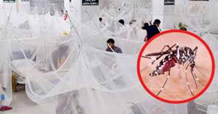 ডেঙ্গুতে একদিনেই ১০ জনের মৃত্যু