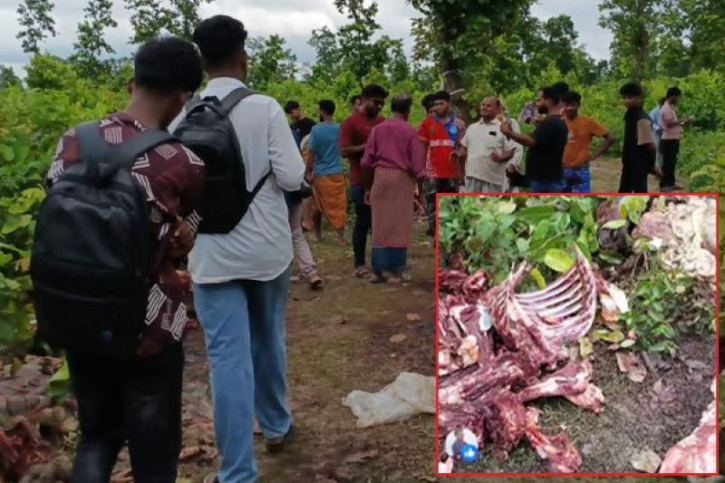 গাজীপুরে জঙ্গলে ১২ ঘোড়া জবাই : এলাকায় চাঞ্চল্য