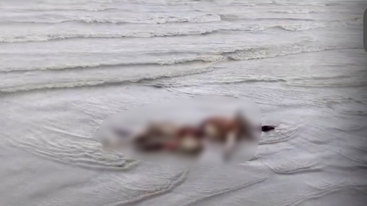 কুয়াকাটা সৈকতে ভেসে এলো অর্ধগলিত মরদেহ : জানা যায়নি পরিচয় কুয়াকাটা সৈকতে ভেসে এলো অর্ধগলিত মরদেহ : জানা যায়নি পরিচয়