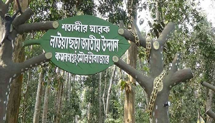 লাউয়াছড়া জাতীয় উদ্যানে জনসমাগম বন্ধ লাউয়াছড়া জাতীয় উদ্যানে জনসমাগম বন্ধ