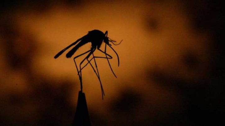 ডেঙ্গুতে আরও ৫ জনের মৃত্যু : হাসপাতালে ভর্তি ৩১১ জন