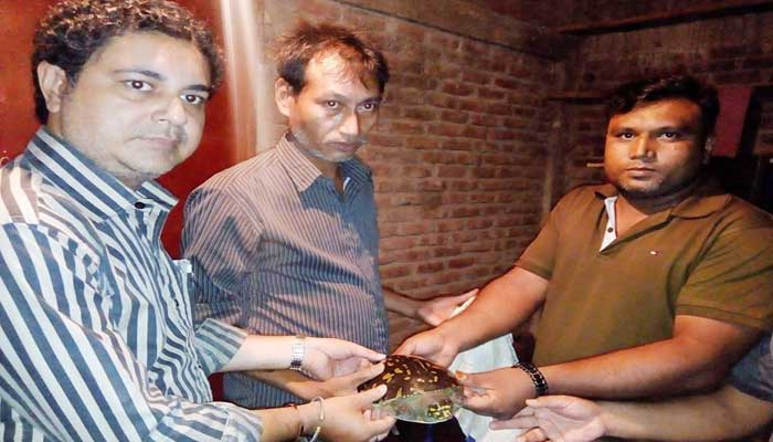 বিপন্ন প্রজাতির কাছিম উদ্ধার বিপন্ন প্রজাতির কাছিম উদ্ধার