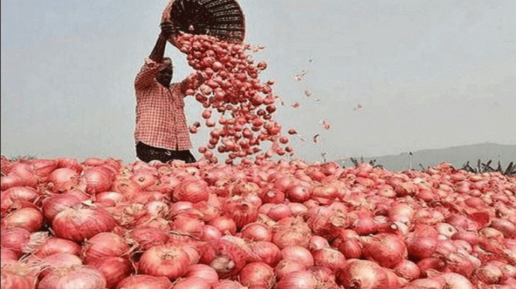 পিয়াজের উৎপাদন বাড়াতে ১৬ কোটি টাকার প্রণোদনা পিয়াজের উৎপাদন বাড়াতে ১৬ কোটি টাকার প্রণোদনা