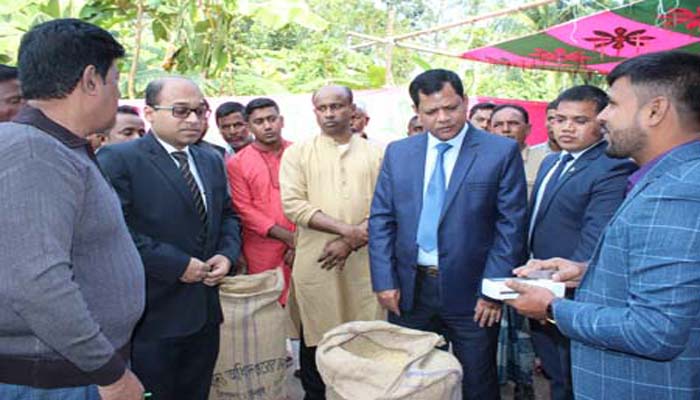 লক্ষ্মীপুরে আমন ধান ক্রয় শুরু