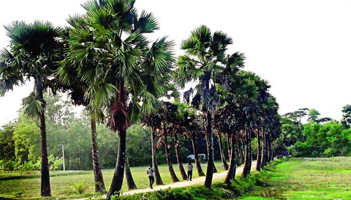 ‘আজ তোরা যাস নে ঘরের বাহিরে’ ‘আজ তোরা যাস নে ঘরের বাহিরে’
