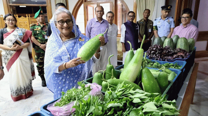 গোপালগঞ্জে পতিত জমিতে উৎপাদিত সবজি-ফলমূল গণভবনে গোপালগঞ্জে পতিত জমিতে উৎপাদিত সবজি-ফলমূল গণভবনে
