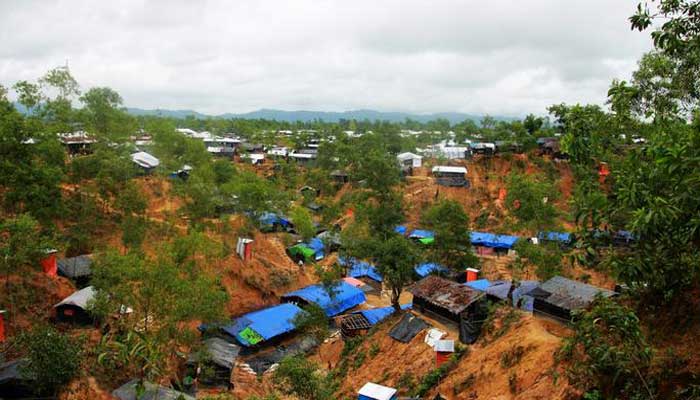 রোহিঙ্গাদের কারণে ৮ হাজার একর বন ক্ষতিগ্রস্ত