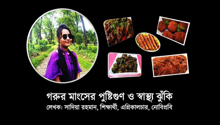 গরুর মাংসের পুষ্টিগুণ ও স্বাস্থ্য ঝুঁকি