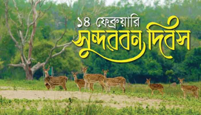 আজ সুন্দরবন দিবস আজ সুন্দরবন দিবস