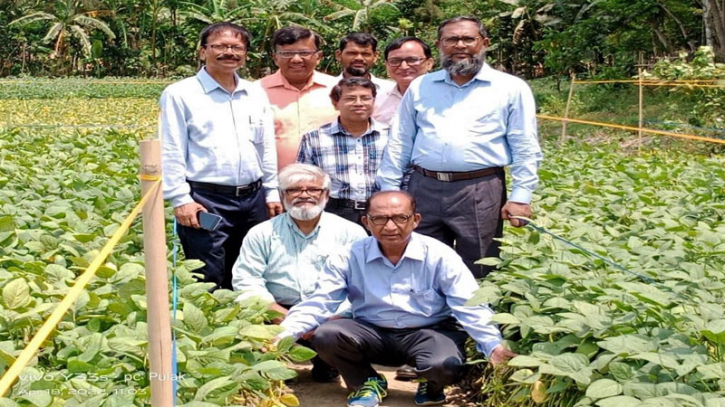 উচ্চফলনশীল দুটি সয়াবিনের নতুন জাত উদ্ভাবন করল বশেমুরকৃবি উচ্চফলনশীল দুটি সয়াবিনের নতুন জাত উদ্ভাবন করল বশেমুরকৃবি