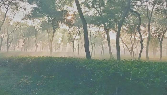 দেশের সর্বনিম্ন তাপমাত্রা শ্রীমঙ্গলে : ৬ ডিগ্রি সেলসিয়াস দেশের সর্বনিম্ন তাপমাত্রা শ্রীমঙ্গলে : ৬ ডিগ্রি সেলসিয়াস