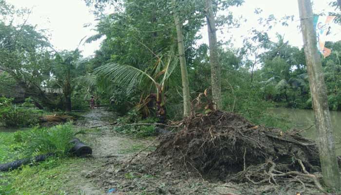 বুলবুলের আঘাতে লণ্ডভণ্ড সুন্দরবন