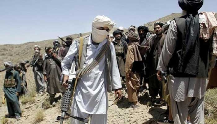 আফগানিস্তানে সেনা অভিযানে ২৬৯ তালেবান নিহত