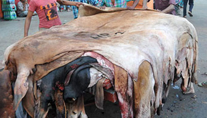 ৪৮ ঘণ্টার মধ্যে কাঁচা চামড়া পরিবহন করা যাবে না ৪৮ ঘণ্টার মধ্যে কাঁচা চামড়া পরিবহন করা যাবে না