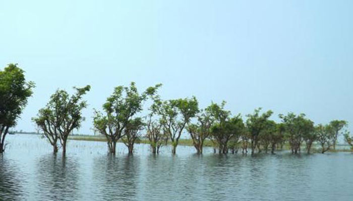 হুমকির মুখে সুনামগঞ্জের টাঙ্গুয়ার হাওর