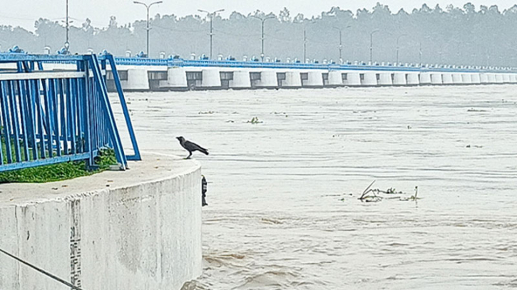 তিস্তার পানি বাড়ছে হু হু করে: আতঙ্কে এলাকাবাসী তিস্তার পানি বাড়ছে হু হু করে: আতঙ্কে এলাকাবাসী