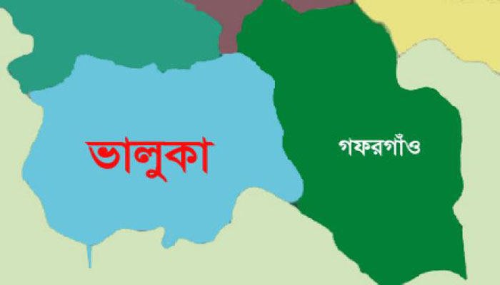 কোরবানির গরুকে বাঁচাতে গিয়ে থামলো জীবনপ্রদীপ