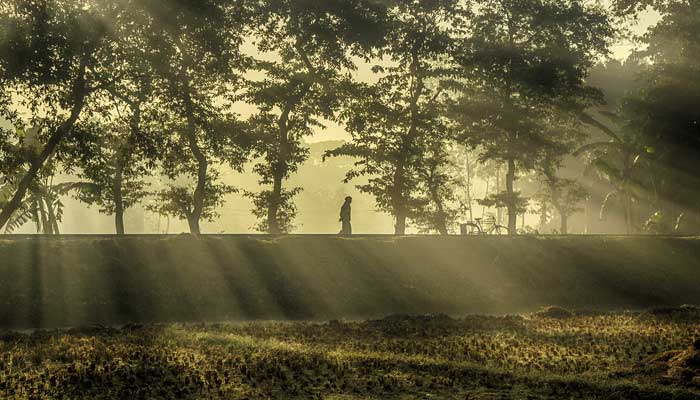 তাপমাত্রা বাড়তে পারে বৃহস্পতিবার থেকে