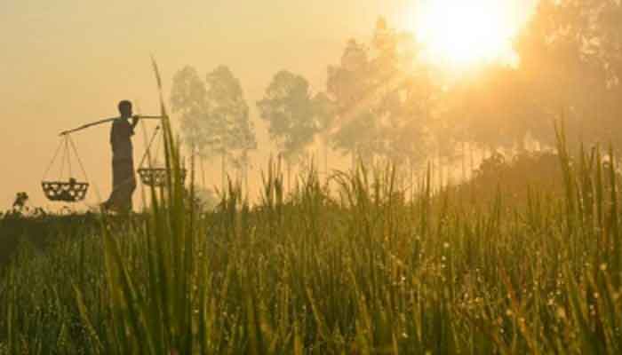 কমছে শীতের তীব্রতা কমছে শীতের তীব্রতা