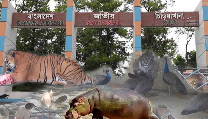 শুক্রবার খুলছে জাতীয় চিড়িয়াখানা শুক্রবার খুলছে জাতীয় চিড়িয়াখানা